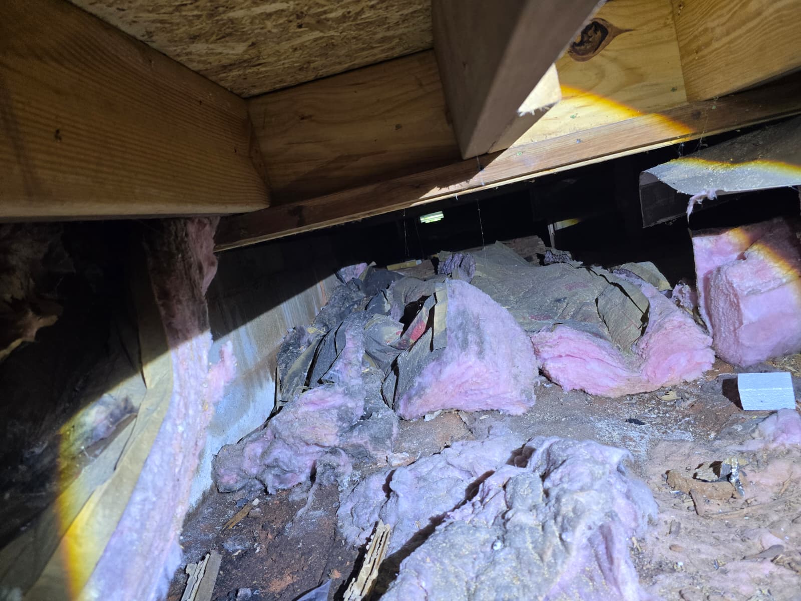 Insulation Removal - Image